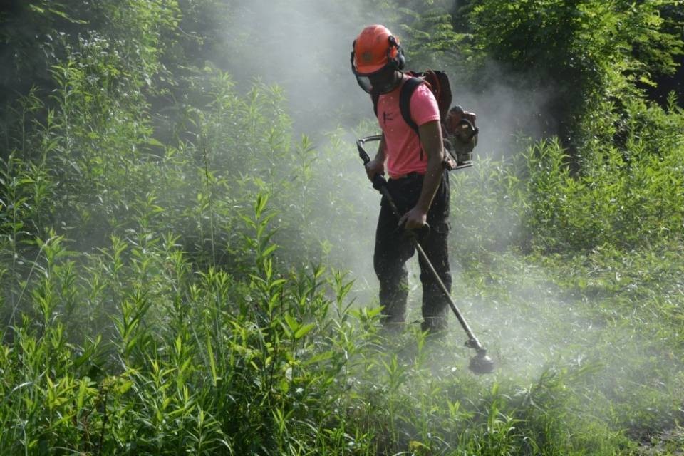Jardin Suisse - Quando qualcuno decide di non decidere il caos regna sovrano