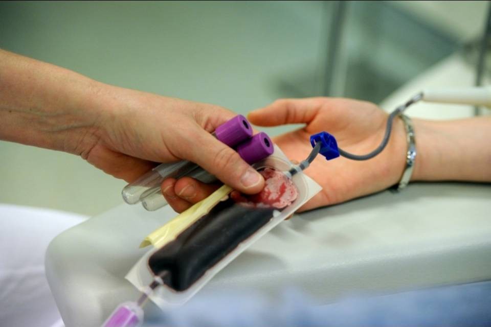 "Donate sangue"