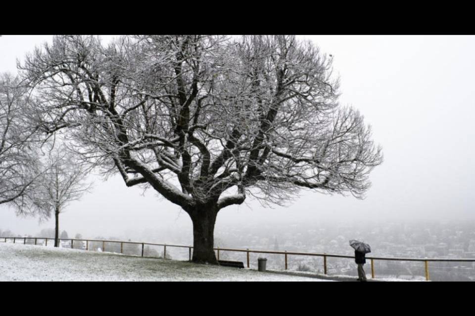 Neve fino in pianura a nord delle Alpi