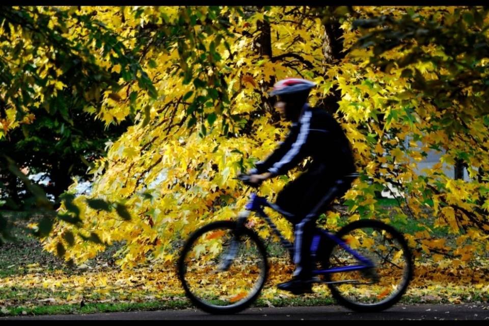 Rubata bicicletta a un ticinese