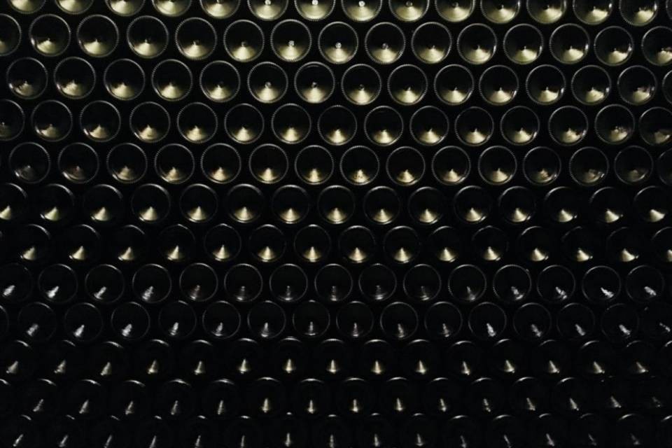 Ticinonews alla scoperta dei vini della Costiera Amalfitana e del Cilento