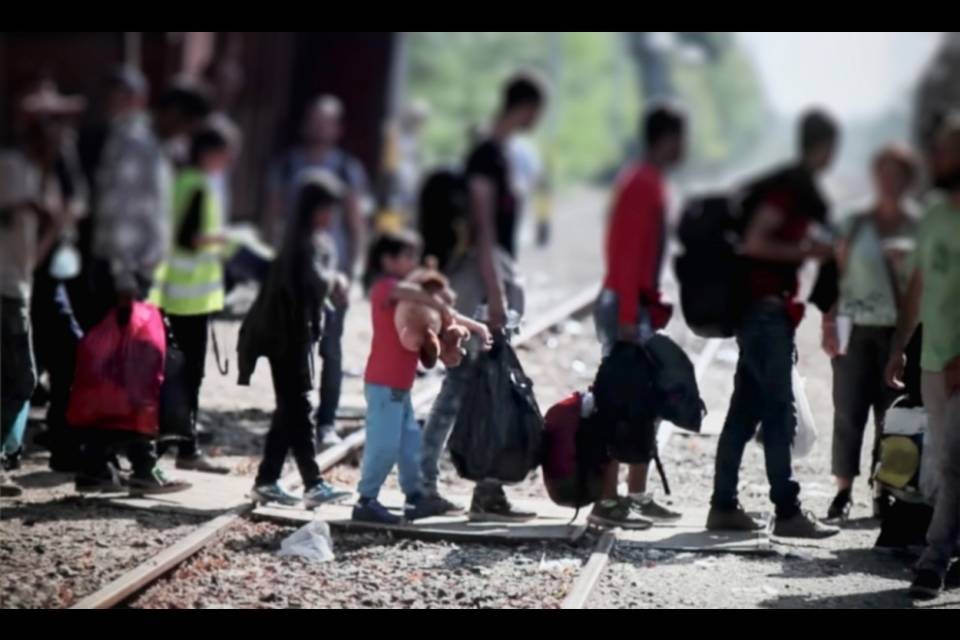 Specialista della migrazione, aperte le iscrizioni al corso di preparazione
