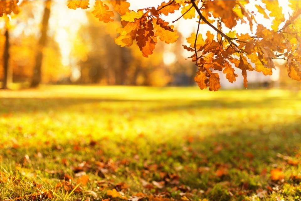 L'ottobre 2019 è stato il più caldo mai registrato
