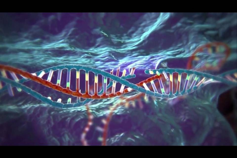 Jurassic Park realtà? Forse sì, con il taglia-incolla del Dna