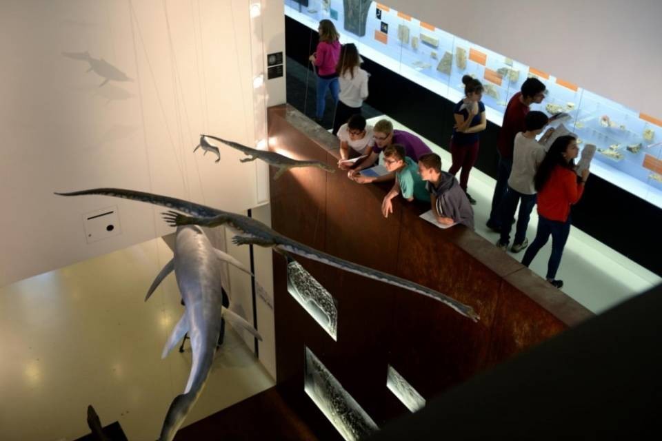 Il Museo prende voce