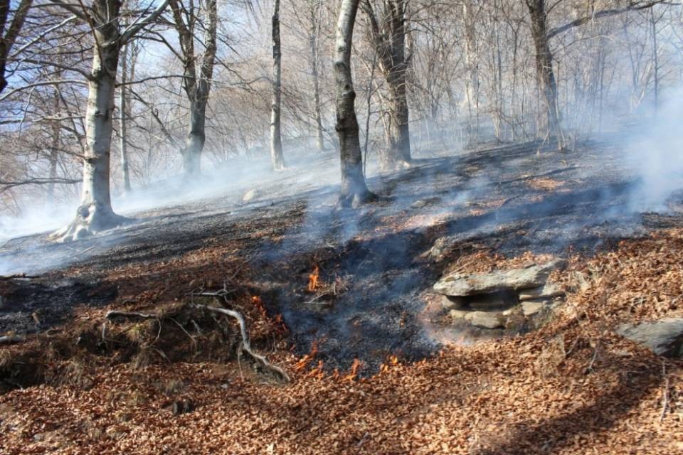 Tre incendi di bosco nel Locarnese