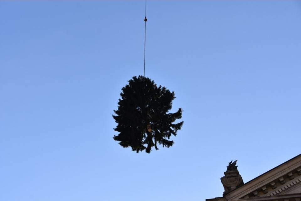Chiasso si prepara al Natale, atterrati due alberi