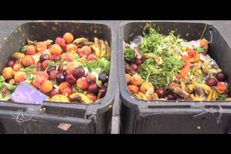 Gli svizzeri buttano un milione di tonnellate di rifiuti alimentari