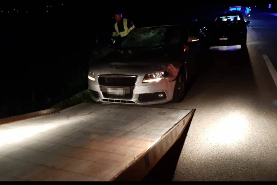 "Un cervo è sbucato all'improvviso, che shock"