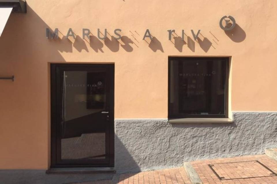 Vandali di Lugano: "Tutto a posto!"