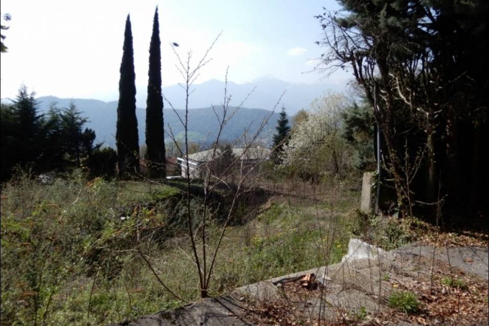 Caso Adria, all'asta un altro terreno