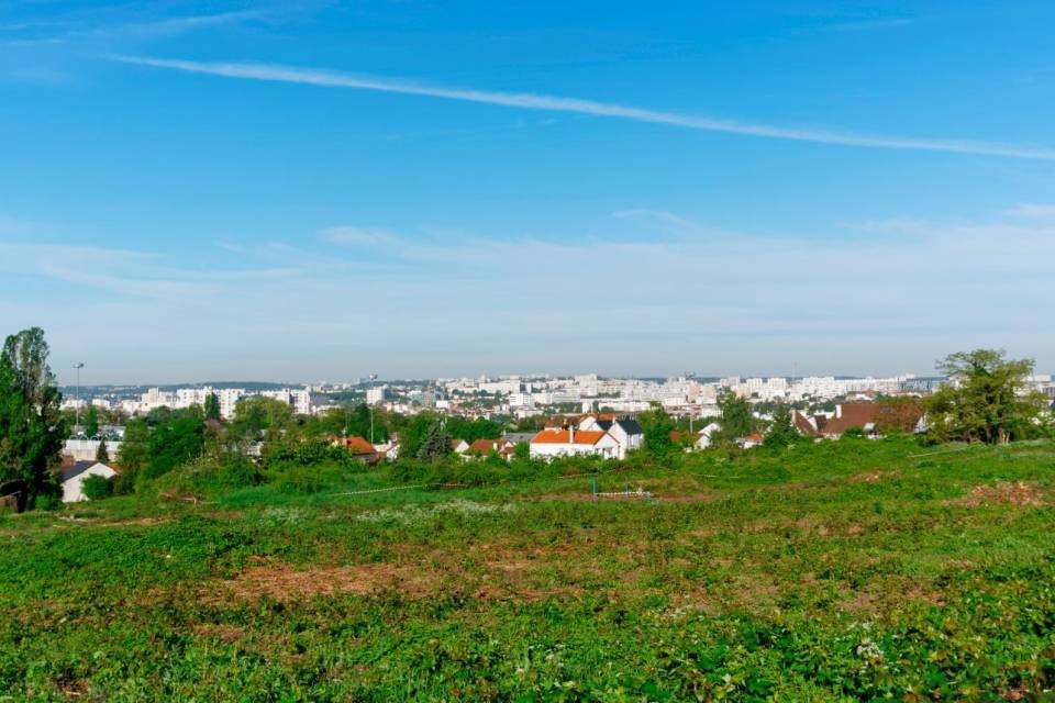 Foto Shutterstock