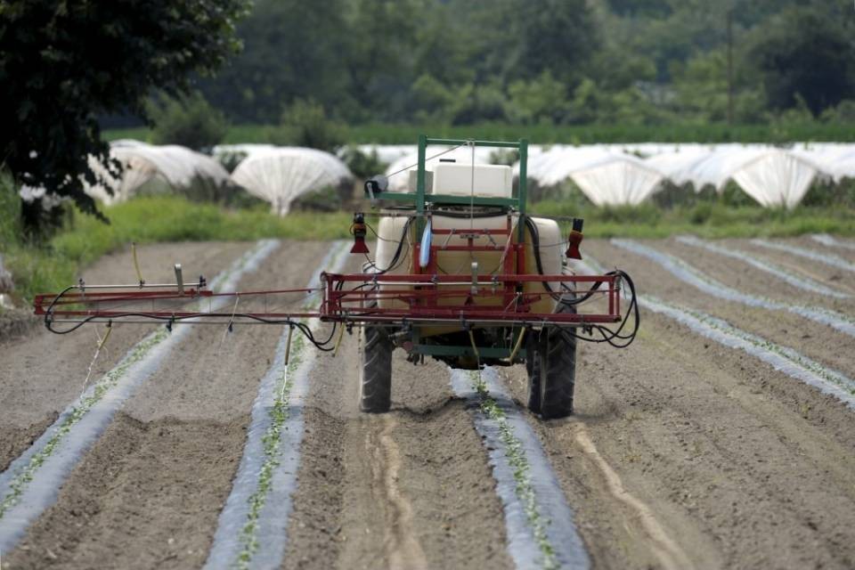 Canicola, i contadini chiedono misure urgenti contro la siccità