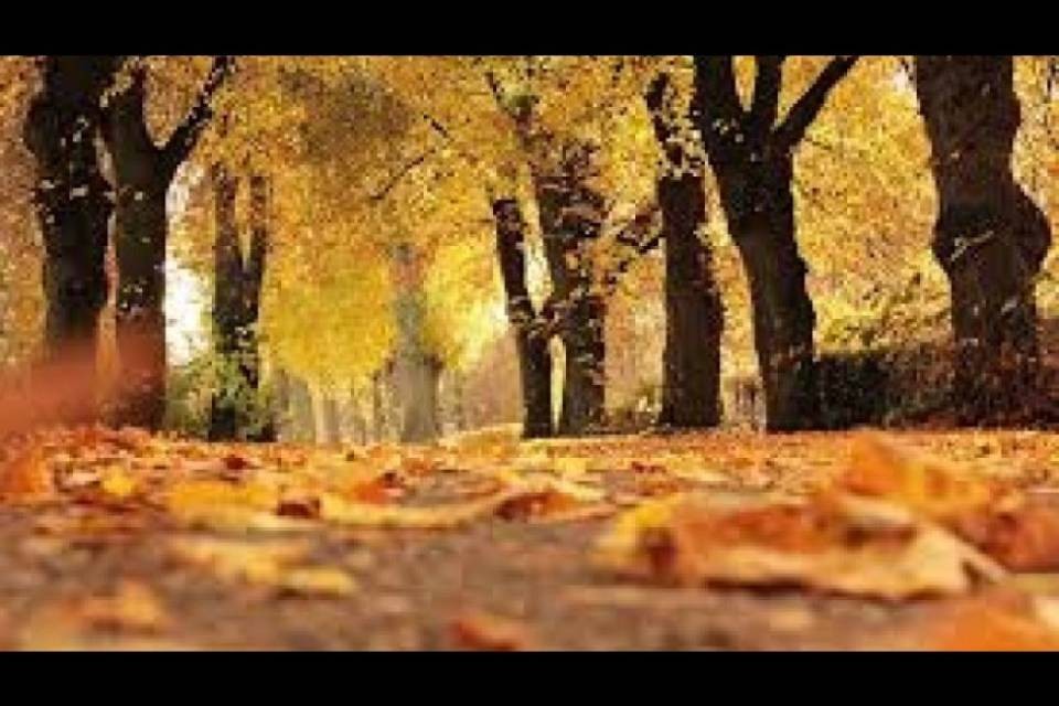 Questo strano autunno "estivo"