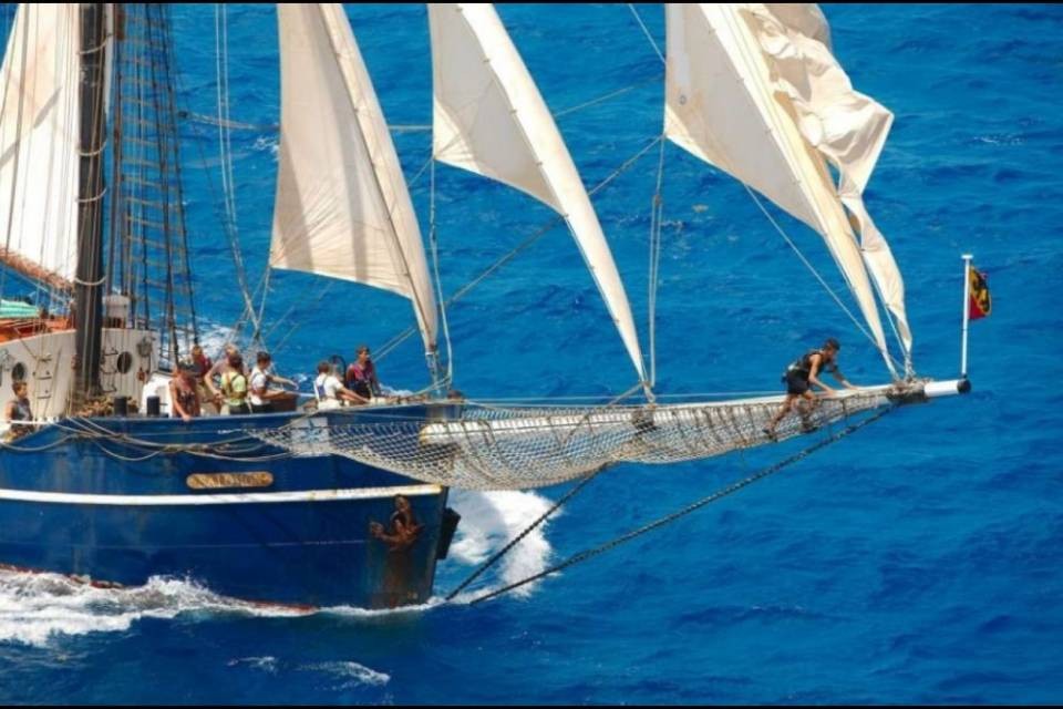 La "nave sociale" diventa tedesca