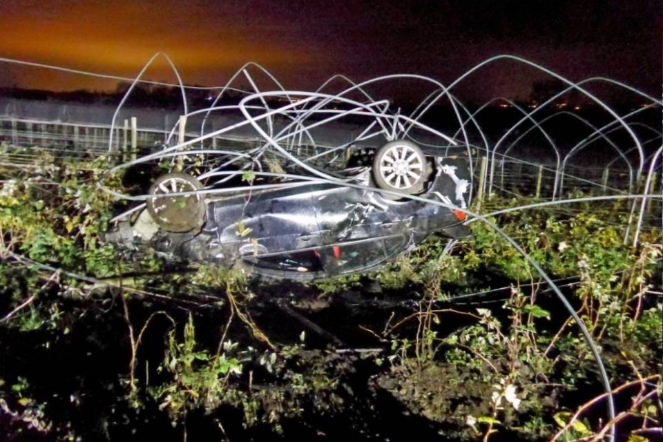 Ubriaco, finisce in mezzo ai lamponi