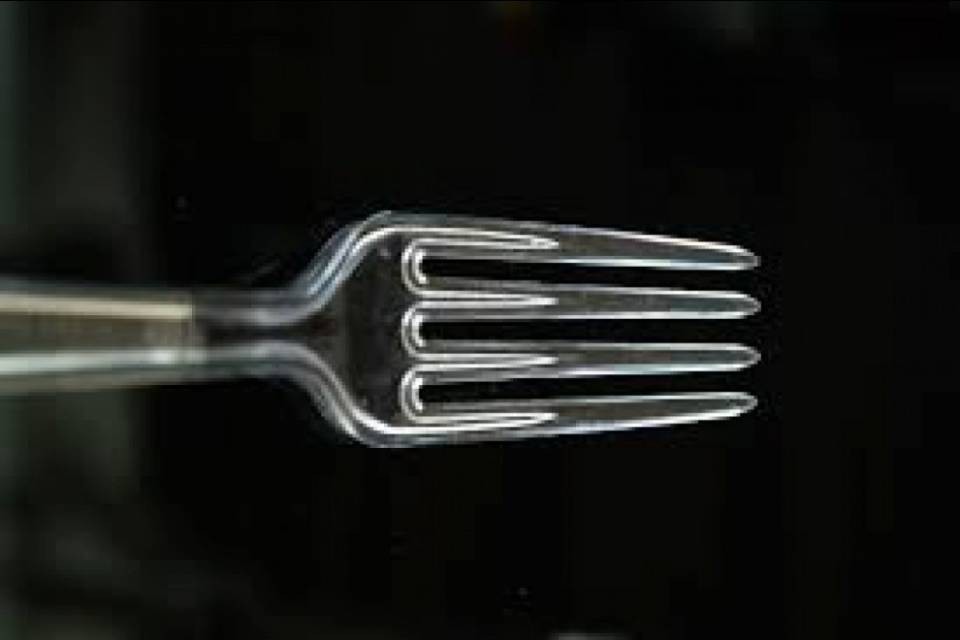 "Le stoviglie in plastica devono essere abolite"