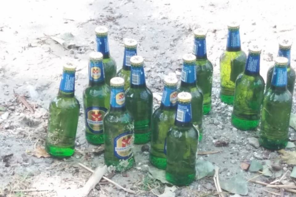 Degrado alla spiaggetta di Minusio: "Ma l'educazione?"