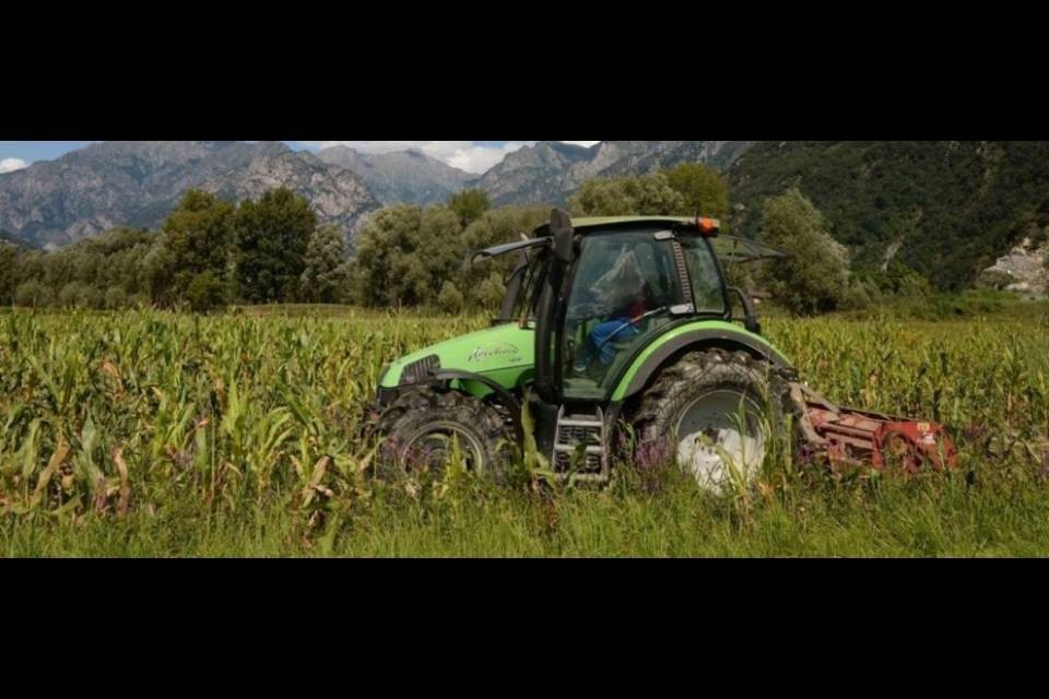 Quanto è importante il settore agroalimentare per il Ticino?