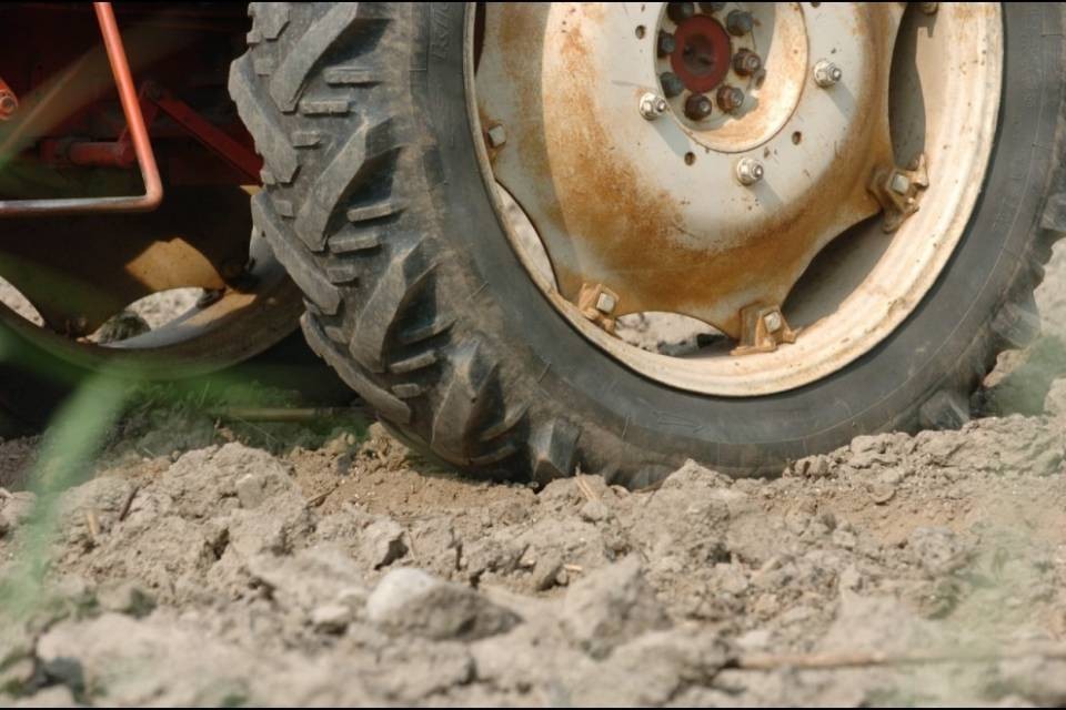 Non piove da 40 giorni, gli agricoltori corrono ai ripari
