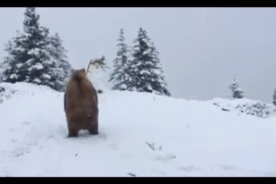 Grigioni sotto la neve, diversi disagi al traffico