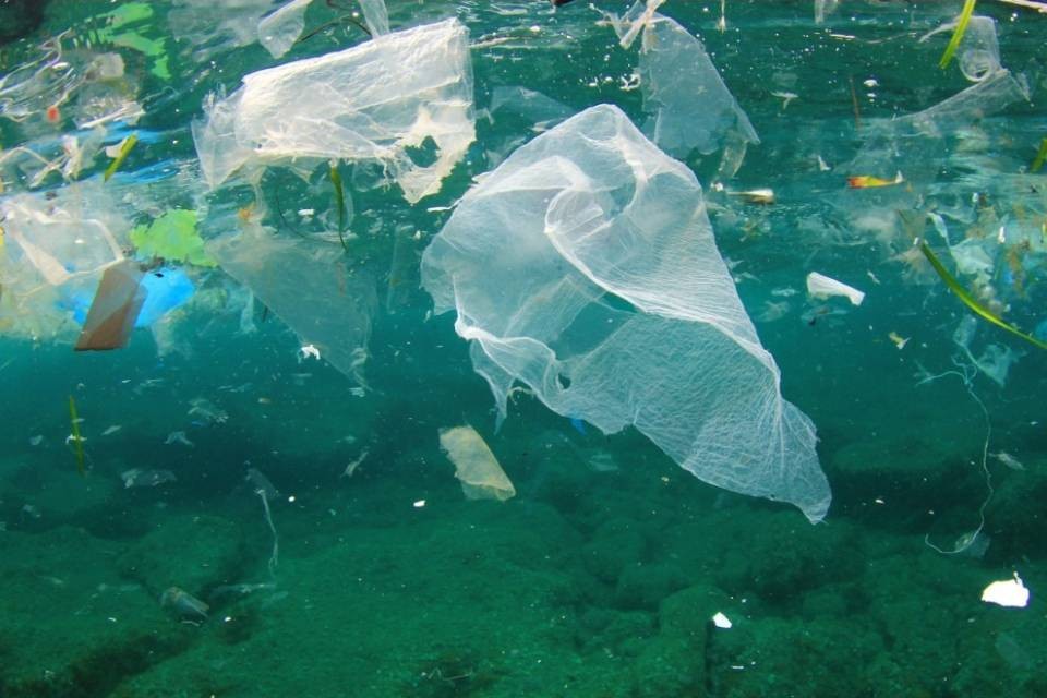 "I rifiuti plastici nell'acqua e nel suolo vanno diminuiti"