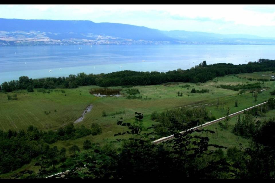 Inquinamento da diesel nel Lago di Neuchâtel