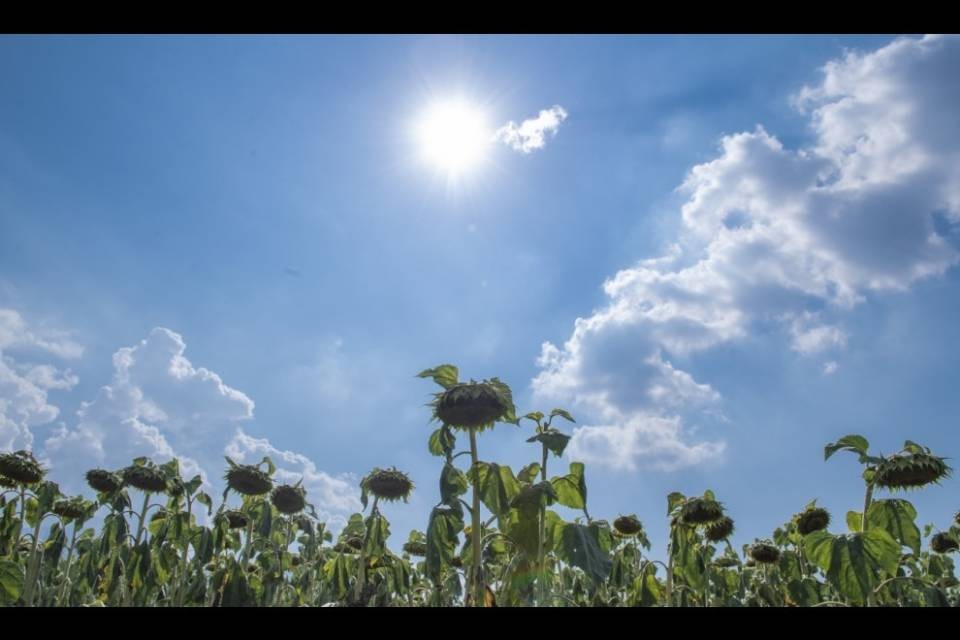 Canicola, ora è allerta di grado 4