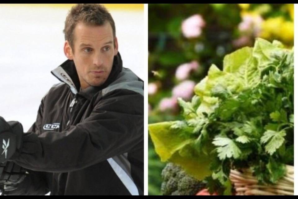 Hockey e dieta vegana, ecco perché
