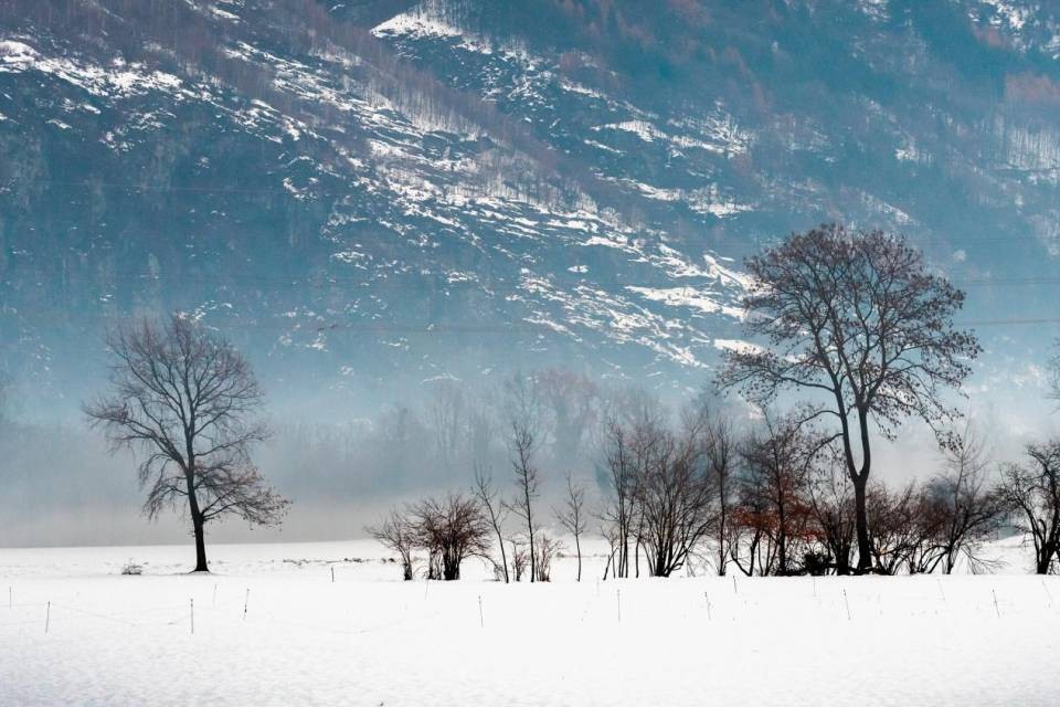 Foto CdT/Zocchetti