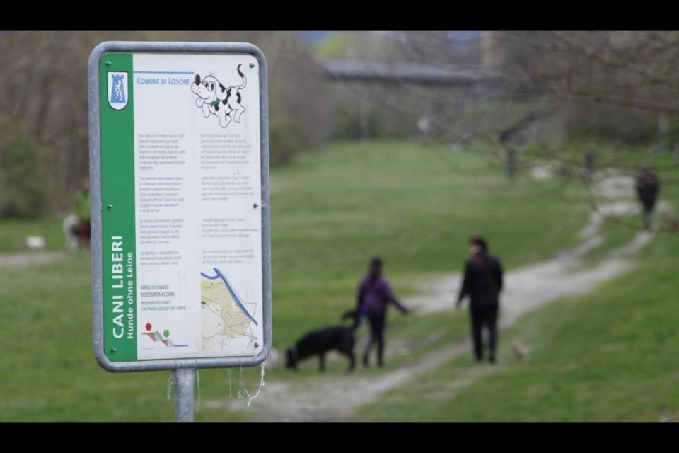 Losone chiude le aree libere ai cani e i posteggi delle zone di svago