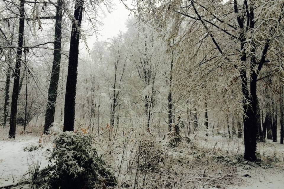 Un Ticino ammantato