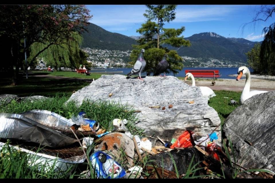 Neanche una multa per littering a Locarno