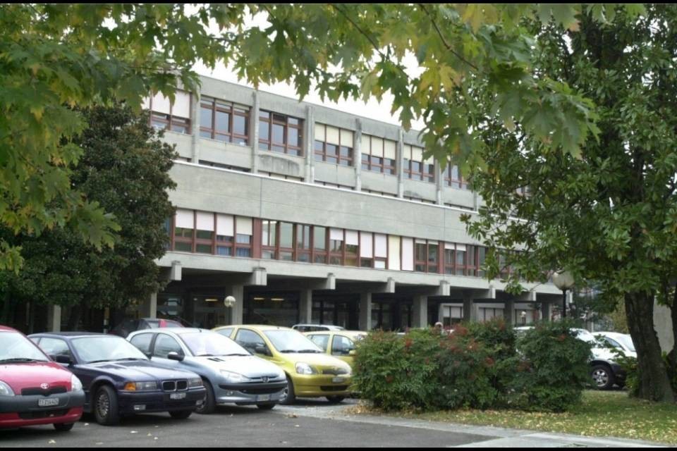 400 euro al mese? "Così va il mercato"