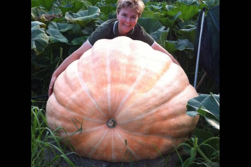 Torna la sagra della zucca