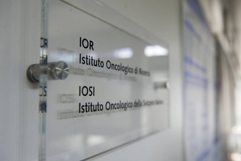 USI, passi avanti nella ricerca contro i tumori